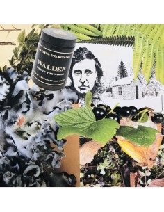 Candela Le jardin de Walden 170 gr 2