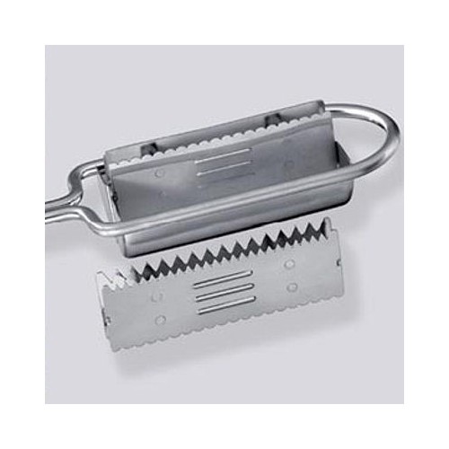Fish scaler