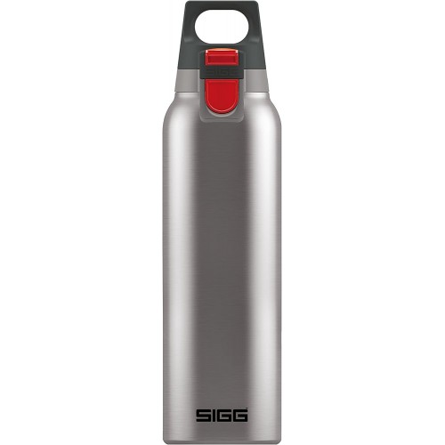 Thermo Flask Hot & Cold ONE Light Brushed 0.55 L