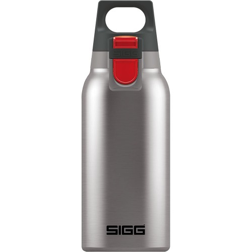 Thermo Flask Hot & Cold ONE Brushed 0.3 L