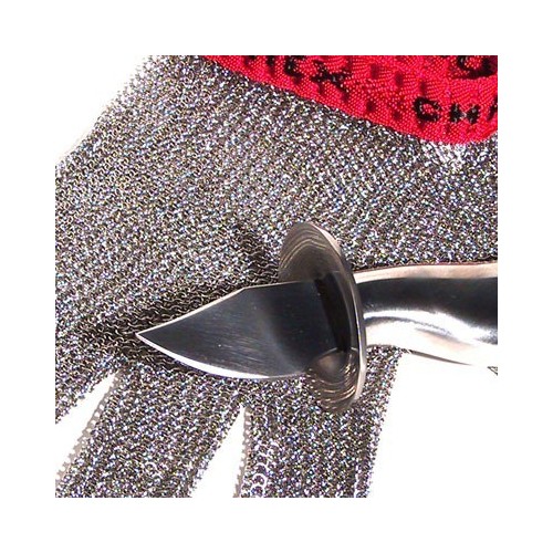 Set Guanto e Coltello da ostriche