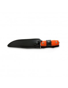 Coltello da Caccia Bowie 2
