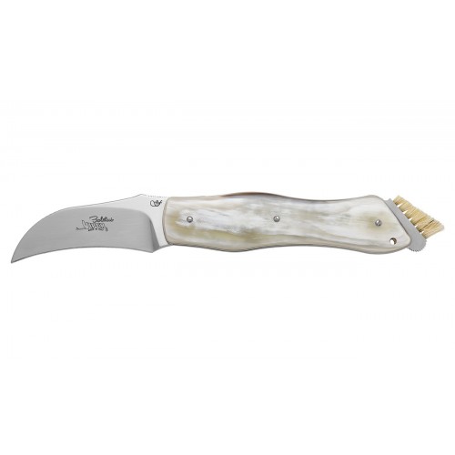 Coltello da Funghi in Corno di Bue Boletus PC