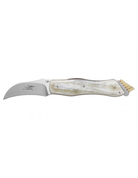 Coltello da Funghi in Corno di Bue Boletus PC