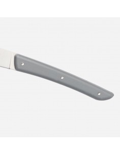 Set di Coltelli da Bistecca Grigio