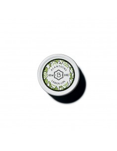 Alantoíne Protective Lip Balm (12ml)