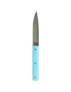 Set da 6 coltelli da bistecca 9.47, manico azzurroSet da 6 coltelli da bistecca 9.47, manico azzurro