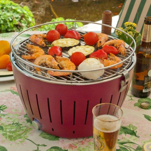 Barbecue da Tavola LotusGrill