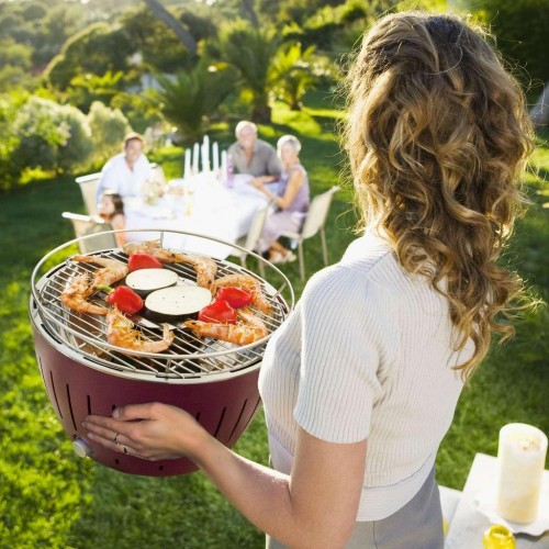 Barbecue da Tavola LotusGrill
