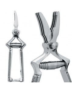 Masticatore per Alimenti Inox 2C975-18 2