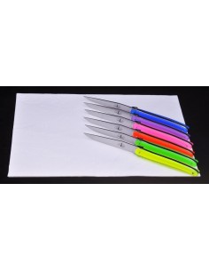 Set Coltelli da Bistecca Wilmotte Fluo 6pz 2