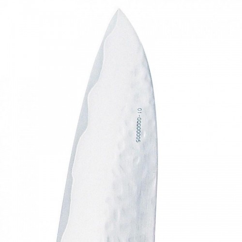Coltello da Cucina Global Sai-01