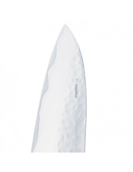 Coltello da Cucina Global Sai-01