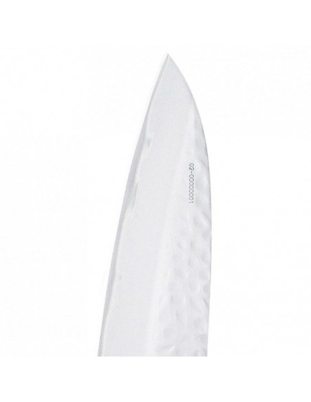 Coltello Trinciante Global SAI-02