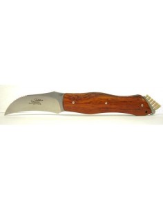 Coltello da Funghi Boletus Cocobolo 2