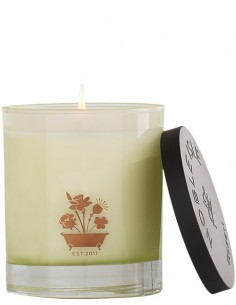 Willow Song Candela 200 g