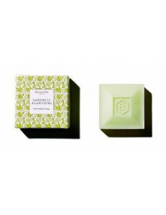 ALANTOÍNE TOILET SOAP 100 G 2