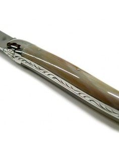 Set coltelli da bistecca 2