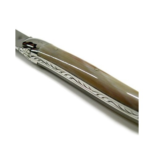 Set coltelli da bistecca
